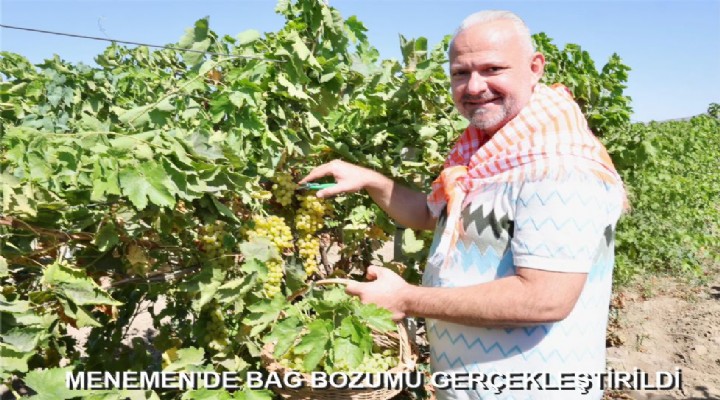 MENEMEN'DE BAĞ BOZUMU GERÇEKLEŞTİRİLDİ